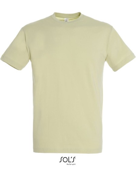 Pánské tričko - Regent - Sage green XL