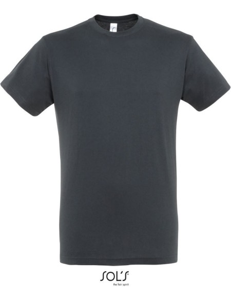 Pánské tričko - Regent - Mouse grey 3XL